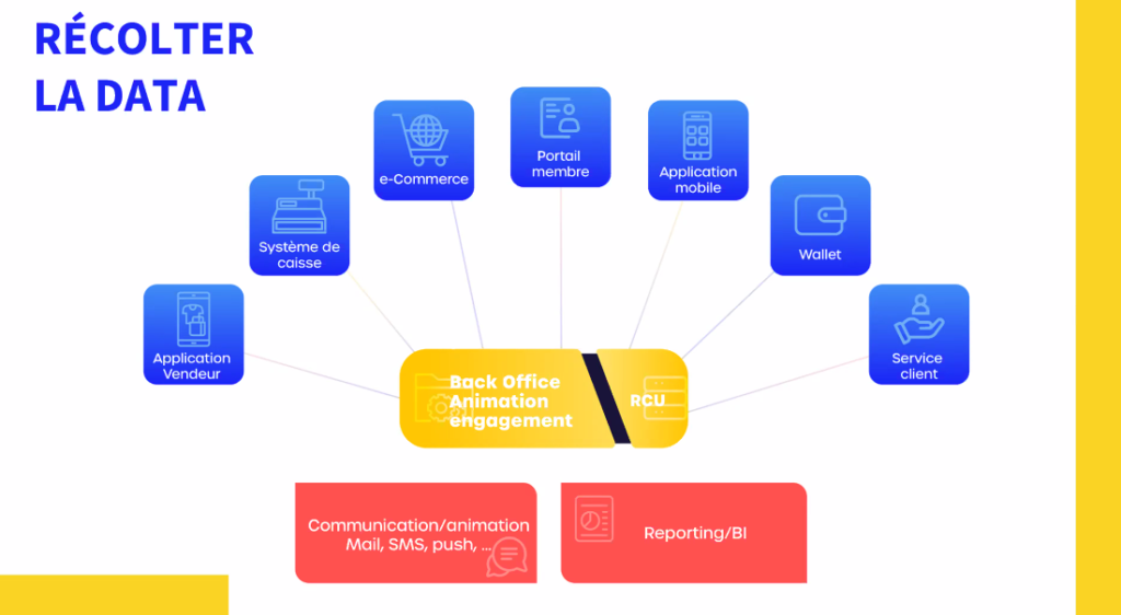 schema data